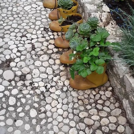 Family In Palase Dhermi * Himare